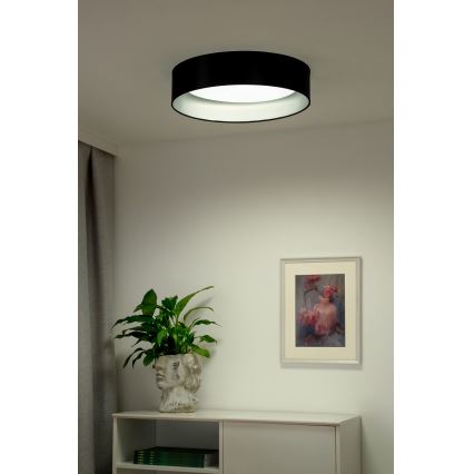 Duolla - LED-Deckenleuchte ROLLER LED/24W/230V d 45 cm schwarz/silbern