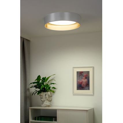 Duolla - LED-Deckenleuchte ROLLER LED/24W/230V d 45 cm silbern/golden
