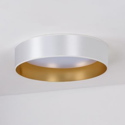 Duolla - LED-Deckenleuchte ROLLER LED/24W/230V d 45 cm silbern/golden