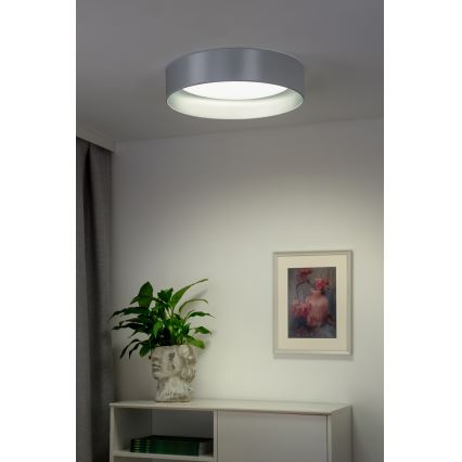 Duolla - LED-Deckenleuchte ROLLER LED/24W/230V d 45 cm silbern