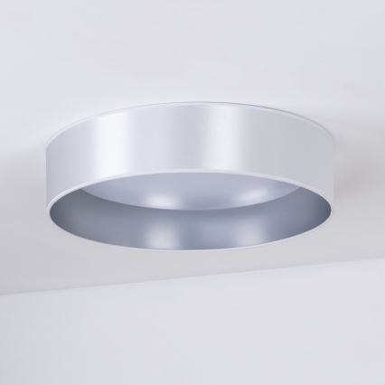 Duolla - LED-Deckenleuchte ROLLER LED/24W/230V d 45 cm silbern