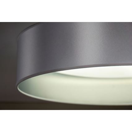 Duolla - Plafoniera LED ROLLER LED/24W/230V diametro 45 cm argento