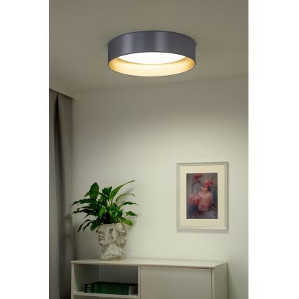 Duolla - Plafoniera LED ROLLER LED/24W/230V diametro 45 cm argento/oro