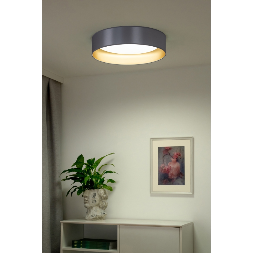 Duolla - Plafoniera LED ROLLER LED/24W/230V diametro 45 cm argento/oro