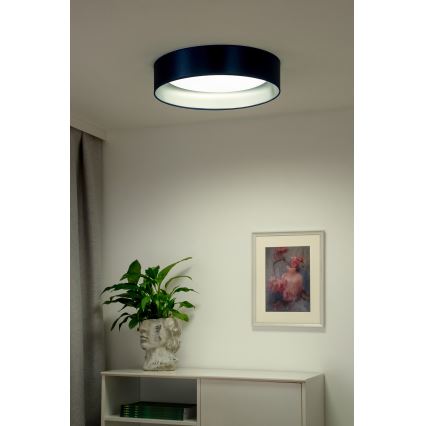 Duolla - Plafoniera LED ROLLER LED/24W/230V diametro 45 cm blu/argento