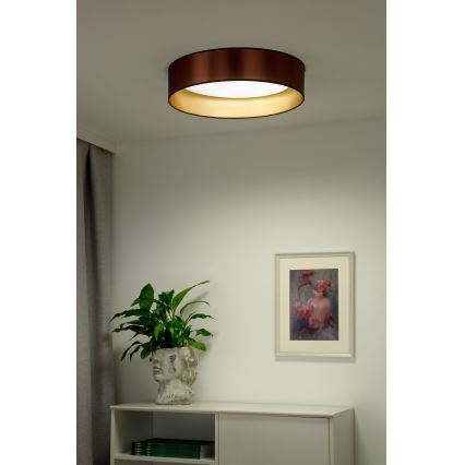 Duolla - Plafoniera LED ROLLER LED/24W/230V diametro 45 cm rame/oro