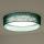 Duolla - Plafoniera LED ROLLER LED/24W/230V diametro 45 cm verde