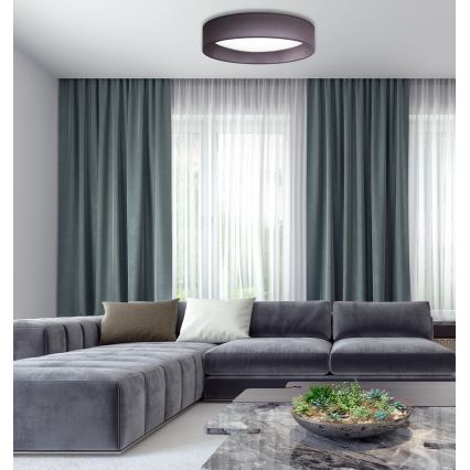 Duolla - Plafonnier ROLLER LED/24W/230V d. 45 cm anthracite