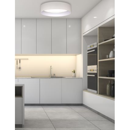 Duolla - Plafonnier ROLLER LED/24W/230V d. 45 cm crème