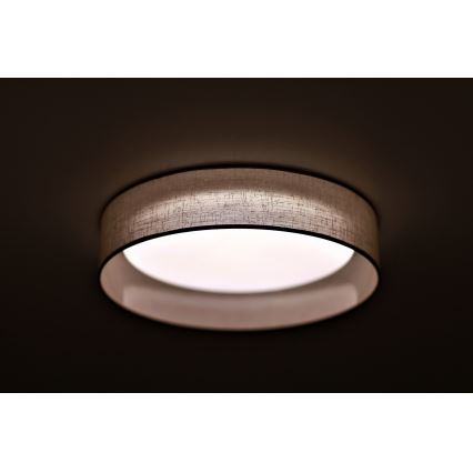 Duolla - Plafonnier ROLLER LED/24W/230V d. 45 cm gris clair