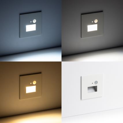 Luminaire LED pour escalier avec détecteur de mouvement et capteur crépusculaire LED/1,5W/230V 3000/4000/6500K blanc