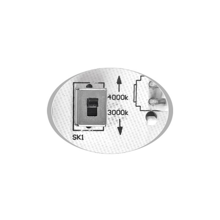 LED-Deckenleuchte für Außenbereiche MARTIN LED/25W/230V 3000/4000K d 35 cm IP65 weiß