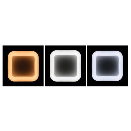 LED dimmbare Hängeleuchte an Seil NEST LED/40W/230V 3000-6500K grau + Fernbedienung