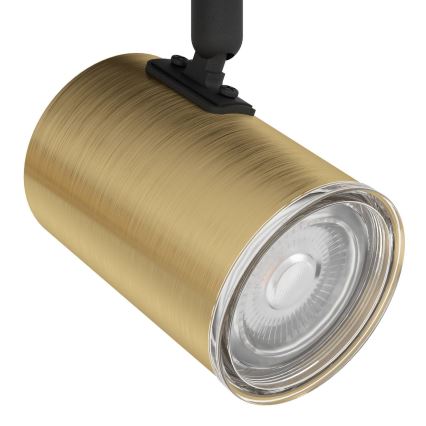 Eglo - Spot pour salle de bains 3xGU10/5W/230V IP44 noir/doré