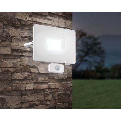 Eglo - Proiettore di luce a LED con sensore LED/50W/230V