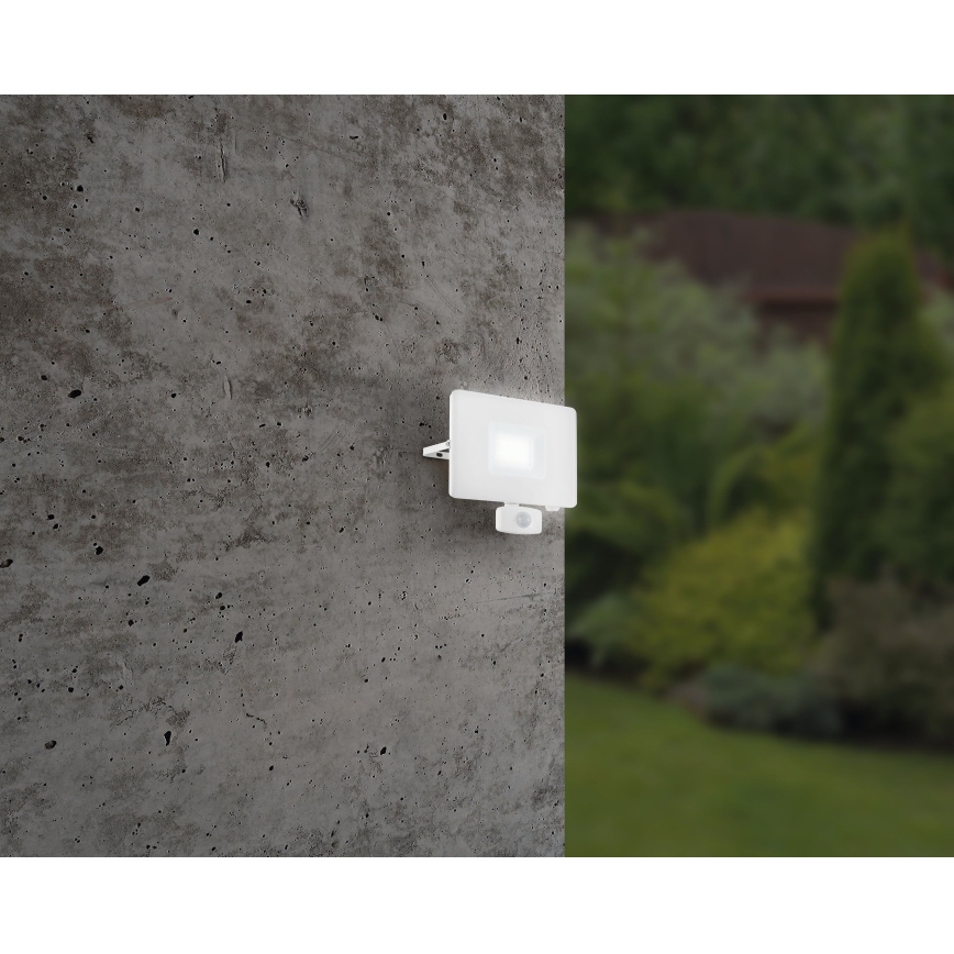 Eglo - Proiettore di luce a LED con sensore LED/50W/230V