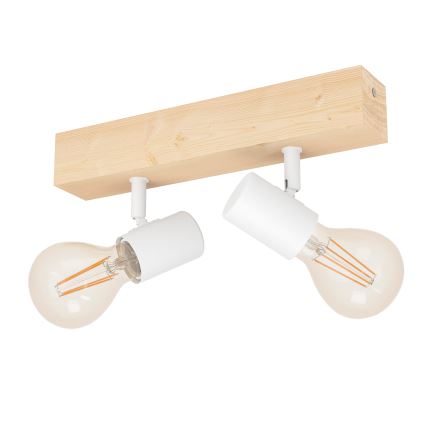 Eglo - Spotlight TOWNSHEND 2xE27/60W/230V