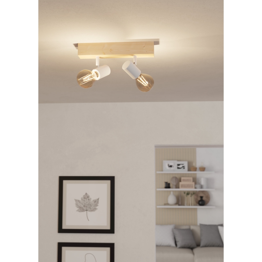 Eglo - Spotlight TOWNSHEND 2xE27/60W/230V