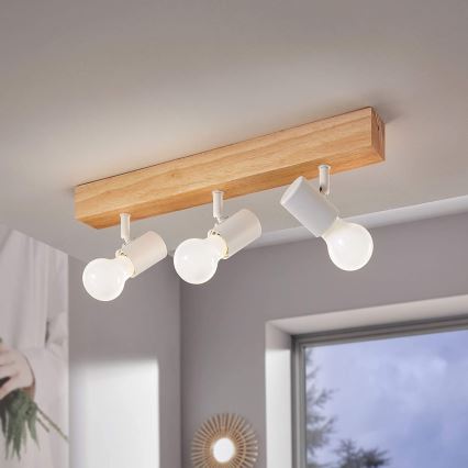 Eglo - Spotlight TOWNSHEND 3xE27/60W/230V