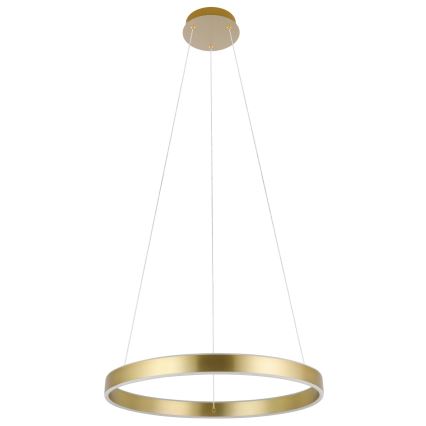 Eglo 33484 - Suspension LED à câble ALCAZABA, 2 x LED, 18 W, 230 V, 3000 K, Ø 55 cm, doré