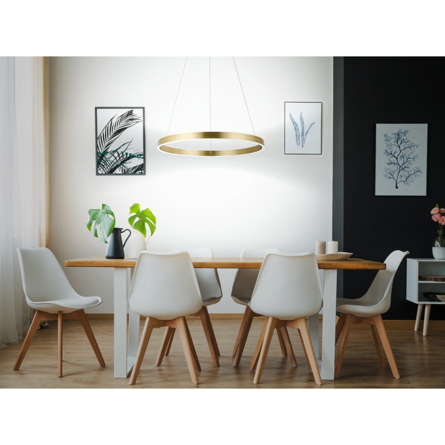 Eglo 33484 - Suspension LED à câble ALCAZABA, 2 x LED, 18 W, 230 V, 3000 K, Ø 55 cm, doré
