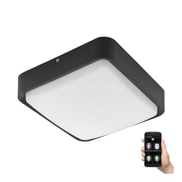 Eglo 33573 - Plafoniera LED dimmerabile per esterni PIOVE-C LED/14W/230V IP44