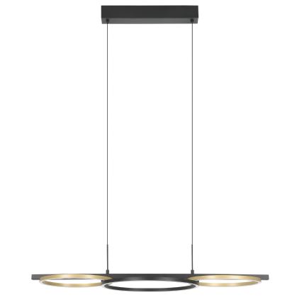 Eglo - Suspension filaire à intensité variable 2xLED/12,5W/230V + LED/15,5W 3000K noir