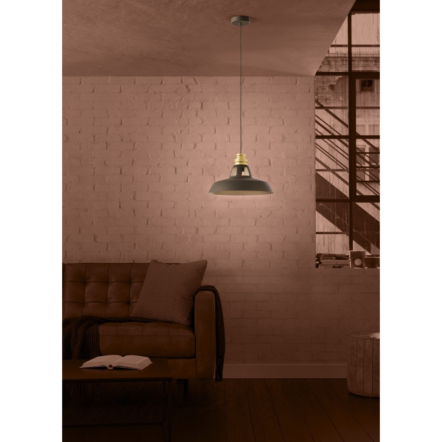 Eglo - Suspension filaire 1xE27/40W/230V noir/doré
