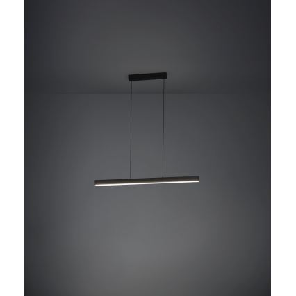 Eglo - Lampadario dimmerabile a LED su cavo LED/20W/230V 3000K nero