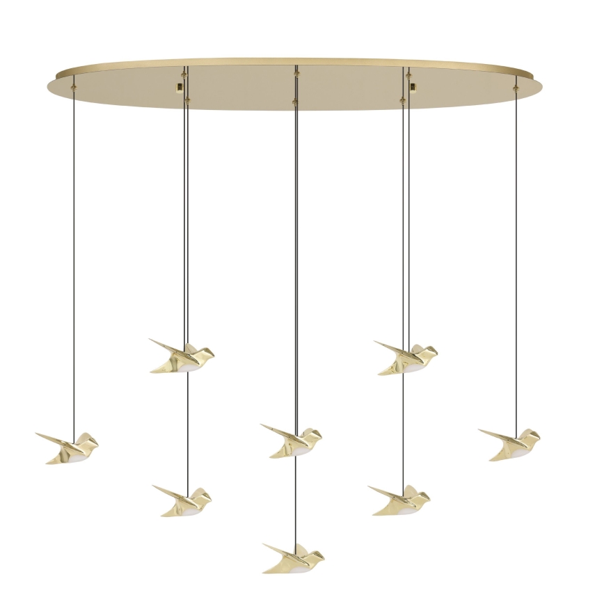 Eglo - Lampadario a sospensione con filo LED dimmerabile 8xLED/4,2W/230V 3000K oro