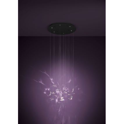 Eglo - Lampadario a sospensione dimmerabile su cavo 6xLED/4,2W/230V nero/trasparente