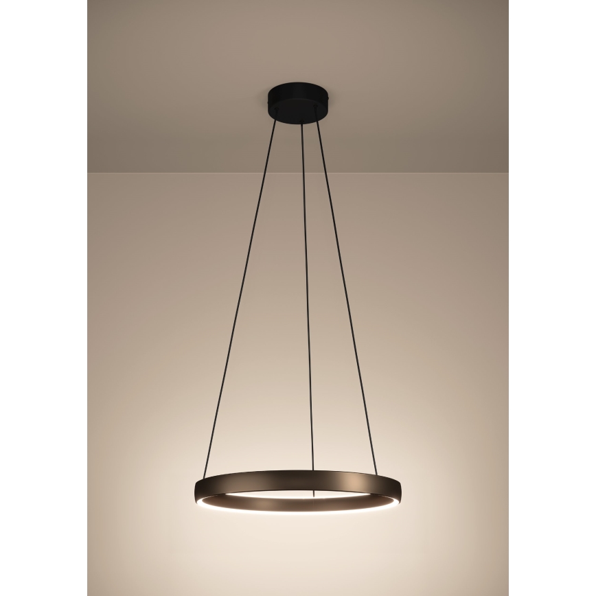 Eglo Stars of Light - LED-dimmbare Pendelleuchte mit Seilaufhängung und Bewegungsmelder 2xLED/19W/230V 2200-6500K Ø 55 cm braun