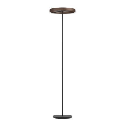 Eglo - Dimmbare LED-Stehlampe mit Bewegungsmelder 2xLED/19W/230V 2200-6500K braun
