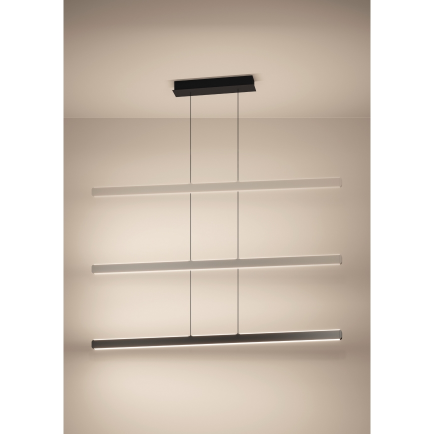 Eglo - LED-dimmbare Hängeleuchte an Seil LED/30W/230V schwarz + Fernbedienung