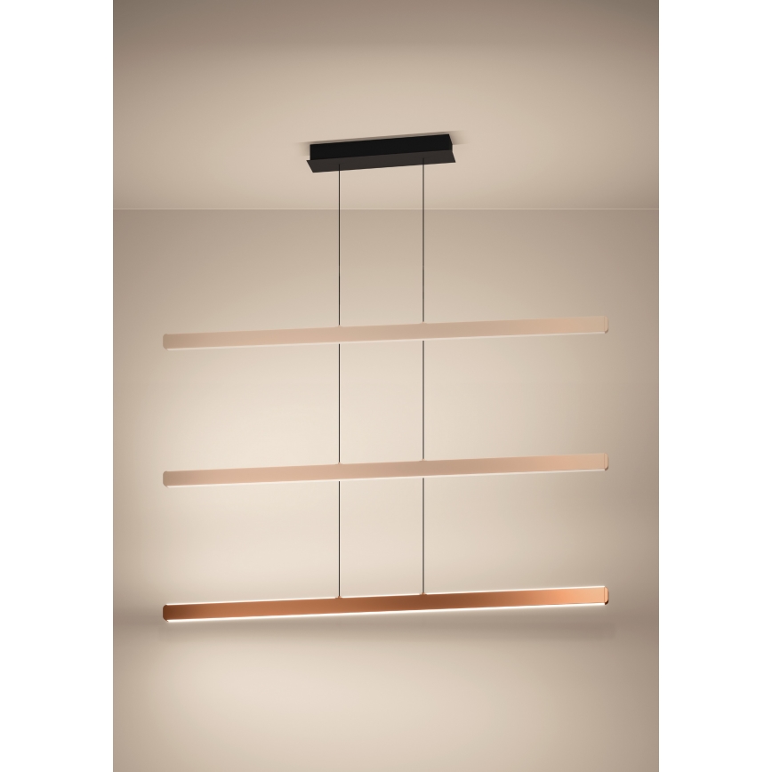 Eglo Stars of Light - LED-dimmbare Hängeleuchte an Seil LED/30W/230V 2200-6500K goldfarben + Fernbedienung