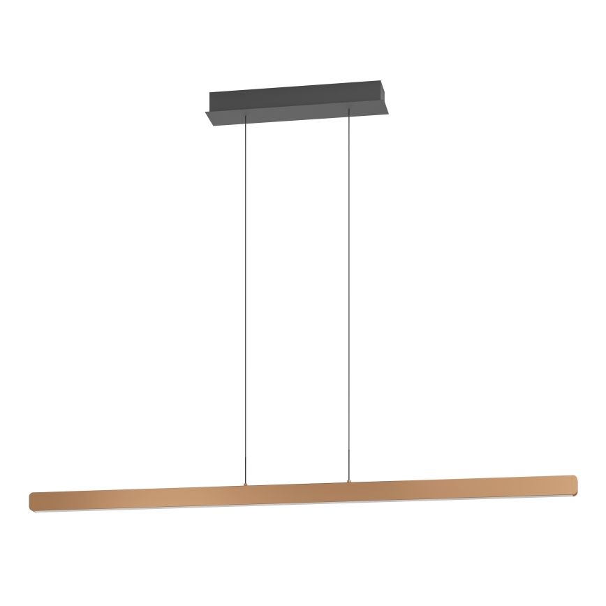 Eglo Stars of Light - Suspension LED dimmable sur câble LED/30W/230V 2200-6500K dorée + télécommande