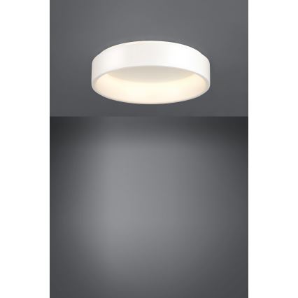 Eglo - Plafoniera LED dimmerabile 1 LED/35,2W/230V