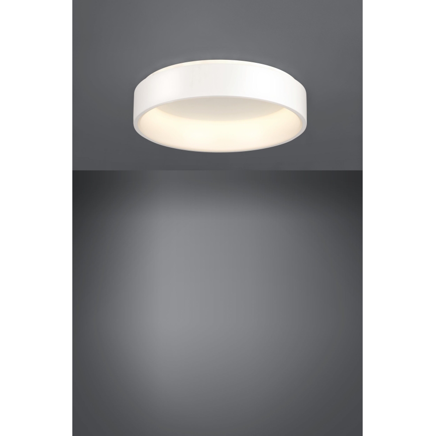 Eglo - Plafoniera LED dimmerabile 1 LED/35,2W/230V