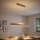 Eglo 39344 - LED Pendelleuchte an Kabel CLIMENE LED/17W/230V + LED/4,2W Eiche