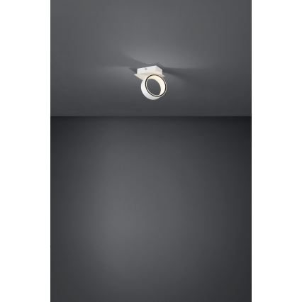 Eglo - Faretto LED LED/4,6W/230V 3000K