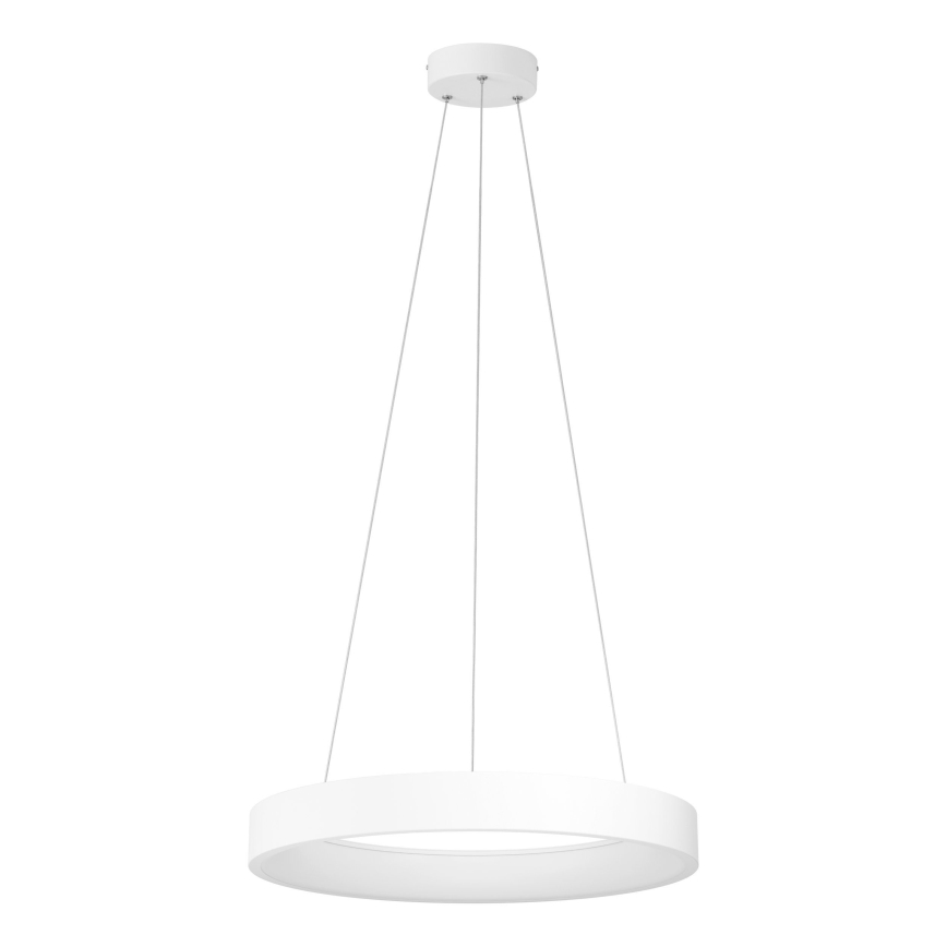 Eglo - Lampadario LED su filo dimmerabile LED/34W/230V