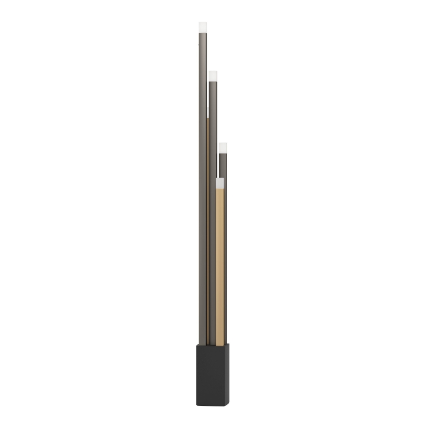 Eglo - Lampada da terra dimmerabile a LED 5xLED/3,7W/230V 3000K antracite/oro