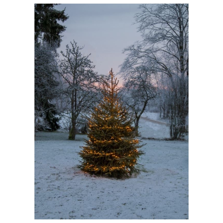 Eglo - Guirlande de noël d'extérieur 1200xLED 24m IP44 blanche chaude