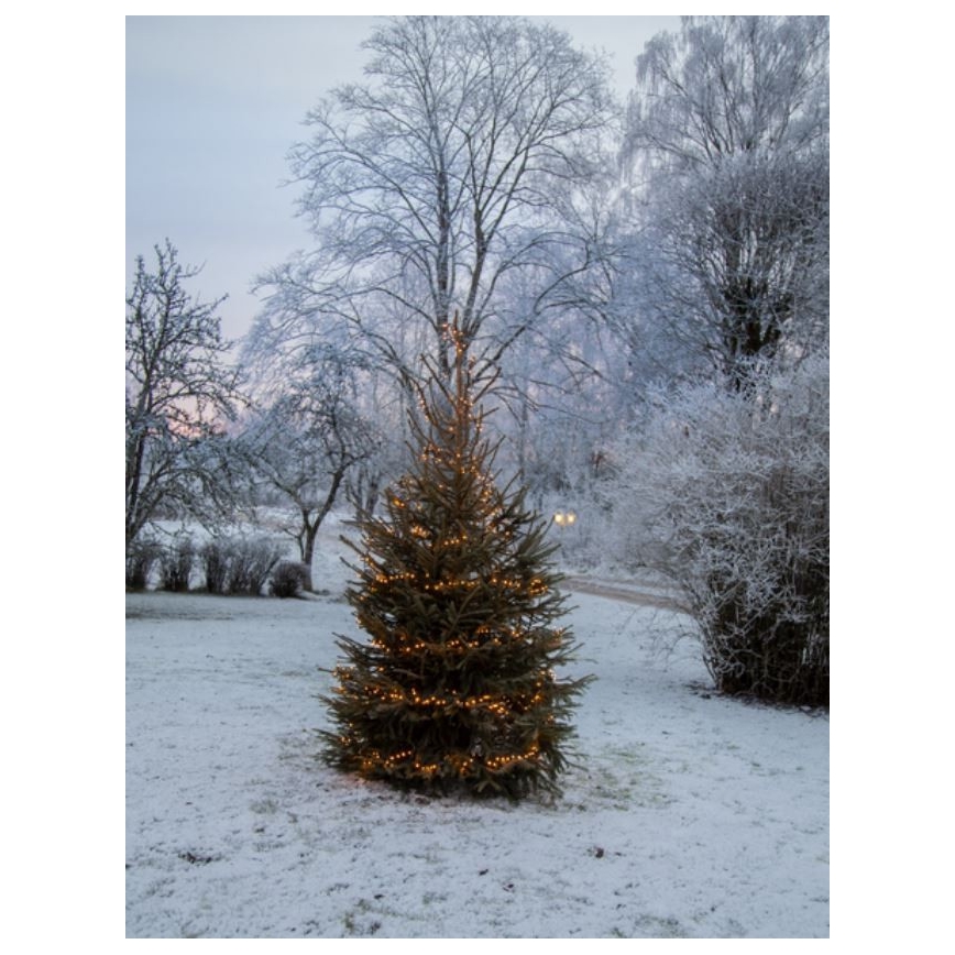 Eglo - Guirlande de noël d'extérieur 1200xLED 24m IP44 blanche chaude