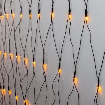 Eglo 410826 - Catena LED natalizia da esterno 200xLED/8x3m IP44 bianco caldo