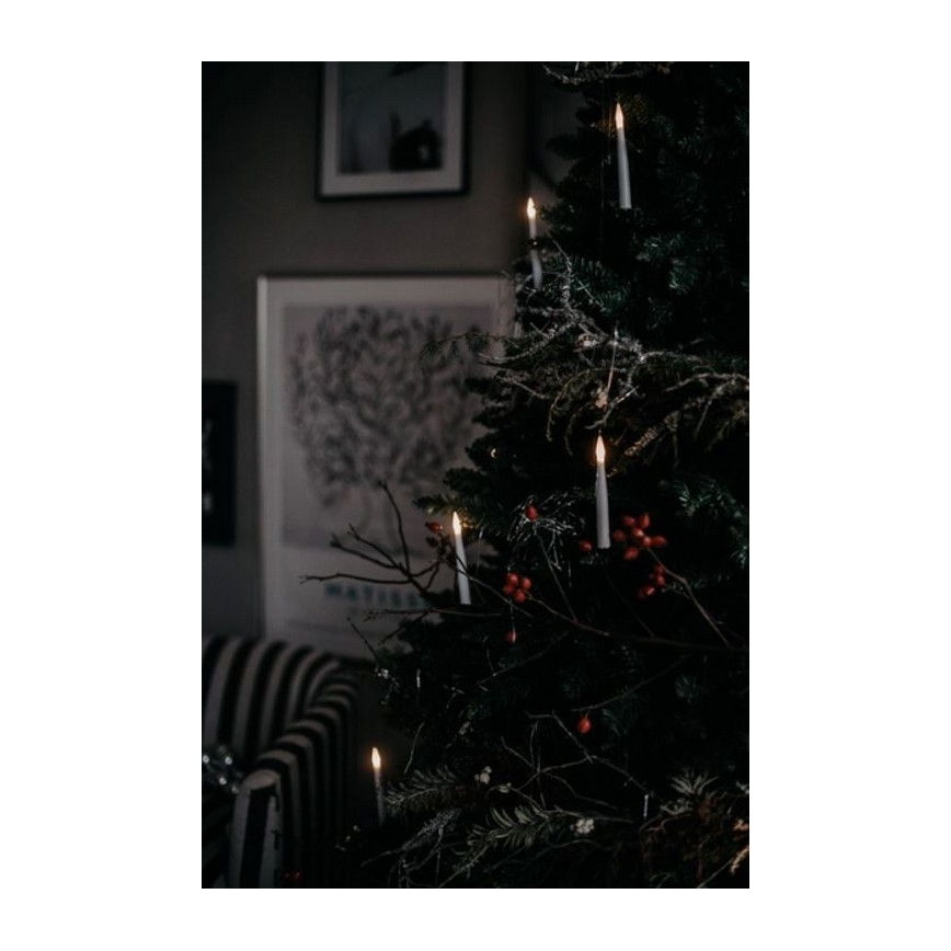 Eglo - Weihnachtsbaum 250 cm Fichte