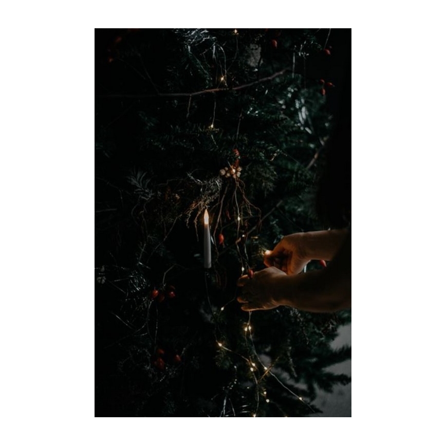Eglo - Weihnachtsbaum 250 cm Fichte