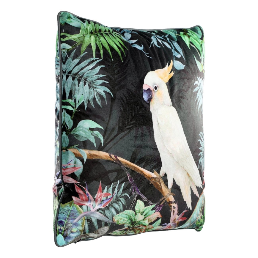 Eglo - Cuscino decorativo 45x45 cm colorato