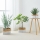 Eglo 426585 - Set da 3 cesti decorativi NANAE 16x27 cm bianco/beige