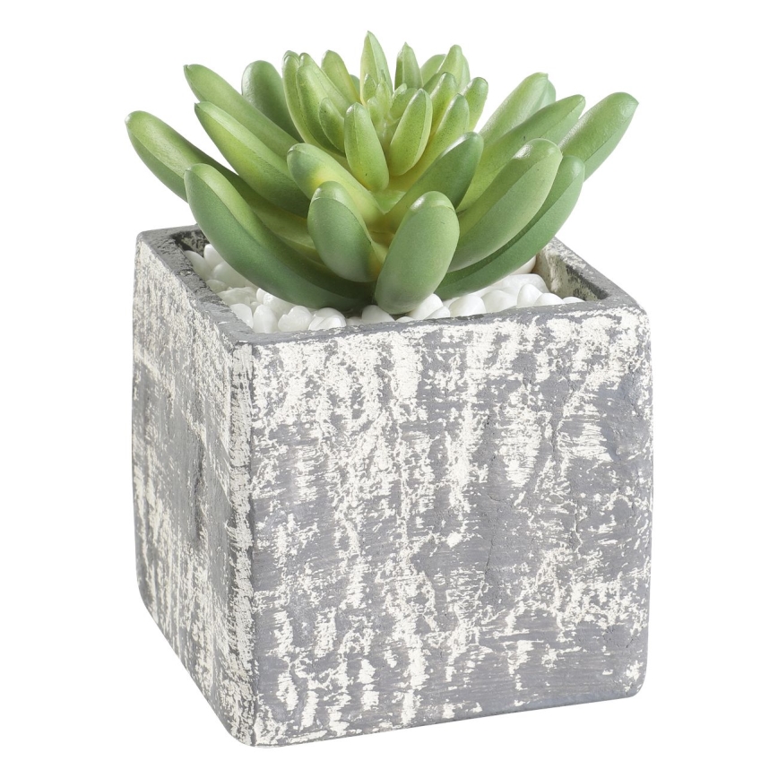 Eglo - Plante artificielle dans un pot de fleurs 12x7,5 cm succulent